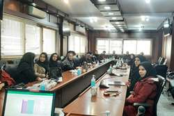 جلسه هماهنگی کمپین مکمل یاری ویتامین آ و واکسیناسیون سرخک و فلج اطفال خوراکی و بیماریابی سل در جمعیت غیر ایرانی برای بهورزان در شهرستان اسلامشهر